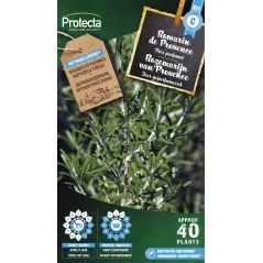Romarin - Cat. C - Protecta à 4,80 € -  - SE-CON-00021 - Plantes, Buis & Légumes