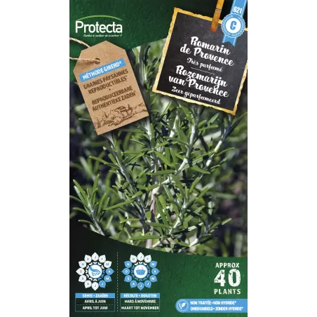 Romarin - Cat. C - Protecta à 4,80 € -  - SE-CON-00021 - Plantes, Buis & Légumes