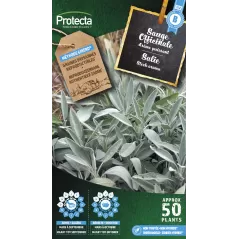 Sauge officinale - Cat. B - Protecta - 3,65 € -  - 5425005399518 - Ornibird SRL
