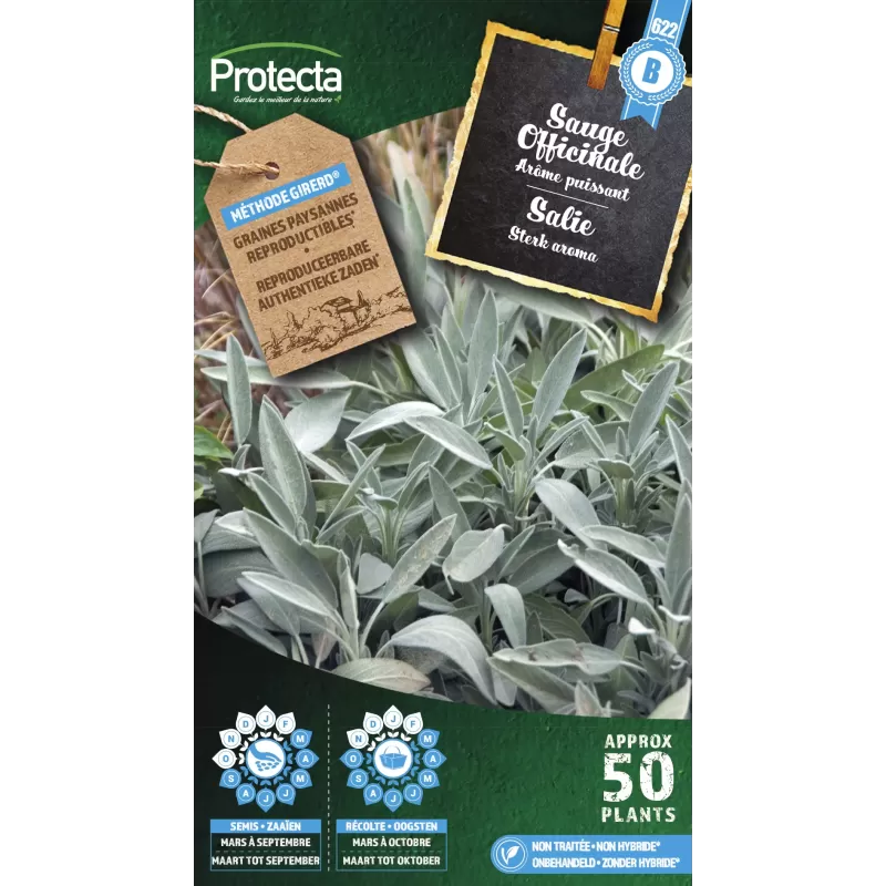 Sauge officinale - Cat. B - Protecta Sauge officinale - Cat. B - Protecta