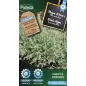 Thym d'hiver - Cat. C - Protecta Thym d'hiver - Cat. C - Protecta