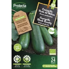 Courgette Verte de Milan FR-BIO-15 XXL - Cat. C - Protecta à 4,80 € - Protecta - SE-POT-00179 - Plantes, Buis & Légumes