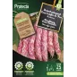 Haricot grimpant Coco langue de feu 25 g - Cat. D - Protecta Haricot grimpant Coco langue de feu 25 g - Cat. D - Protecta