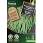 Haricot grimpant Vesperal 25 g - Cat. D - Protecta Haricot grimpant Vesperal 25 g - Cat. D - Protecta