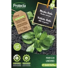 Etiquette de miel d'été 250 pcs - Bijenhof - 14,50 € - Bijenhof - 1721036850559 - Ornibird SRL