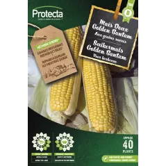 Mais Doux golden bantam XXL - Cat. D - Protecta à 5,90 € - Protecta - SE-POT-00174 - Plantes, Buis & Légumes