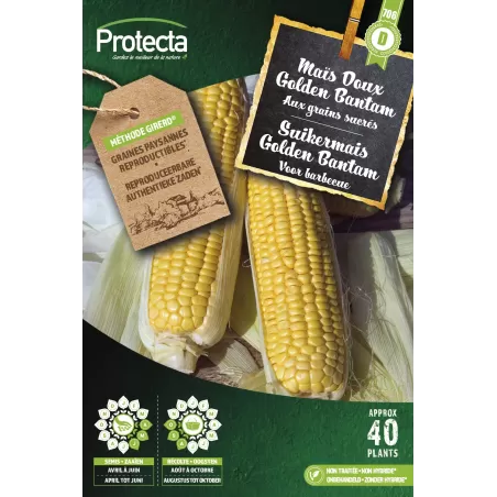Mais Doux golden bantam XXL - Cat. D - Protecta à 5,90 € - Protecta - SE-POT-00174 - Plantes, Buis & Légumes