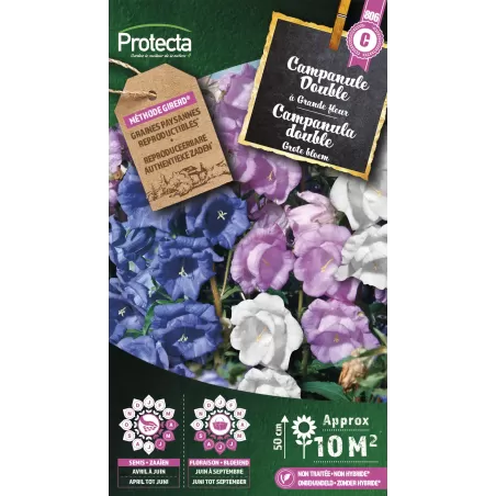 Campanule Double variée - Cat. C - Protecta à 4,80 € -  - SE-CON-00060 - Plantes, Buis & Légumes