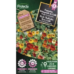 Capucine Grande simple de Lobb varié - Cat. B - Protecta - 3,65 € -  - 5425005399785 - Ornibird SRL