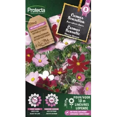 Cosmos sensation varié - Cat. B - Protecta - 3,65 € -  - 5425005399822 - Ornibird SRL