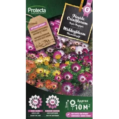 Ficoïde Tapis Magique varié - Cat. C - Protecta - 4,80 € -  - 5410560005813 - Ornibird SRL