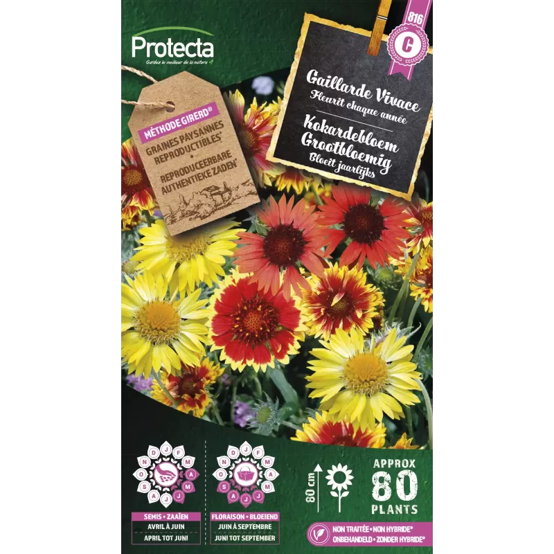 Gaillarde vivace - Cat. C - Protecta