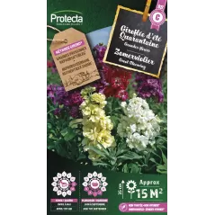 Giroflée Quarantaine - Cat. C - Protecta - 4,80 € -  - 5410560005844 - Ornibird SRL
