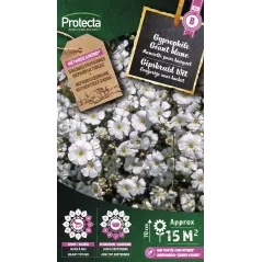 Gypsophile Géant blanc - Cat. B - Protecta - 3,65 € -  - 5410560005868 - Ornibird SRL