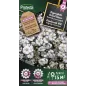 Gypsophile Géant blanc - Cat. B - Protecta