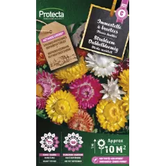 Immortelle à bractées - Cat. C - Protecta - 4,80 € -  - 5410560005882 - Ornibird SRL