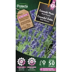 Lavande Vraie - Cat. C - Protecta - 4,80 € -  - 5425005399433 - Ornibird SRL