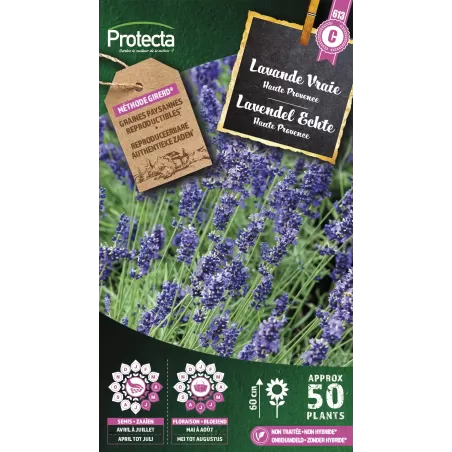 Lavande Vraie - Cat. C - Protecta à 4,80 € - Protecta - SE-CON-00014 - Plantes, Buis & Légumes
