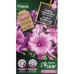Lavatère à grande fleur - Cat. B - Protecta - 3,65 € -  - 5410560005899 - Ornibird SRL
