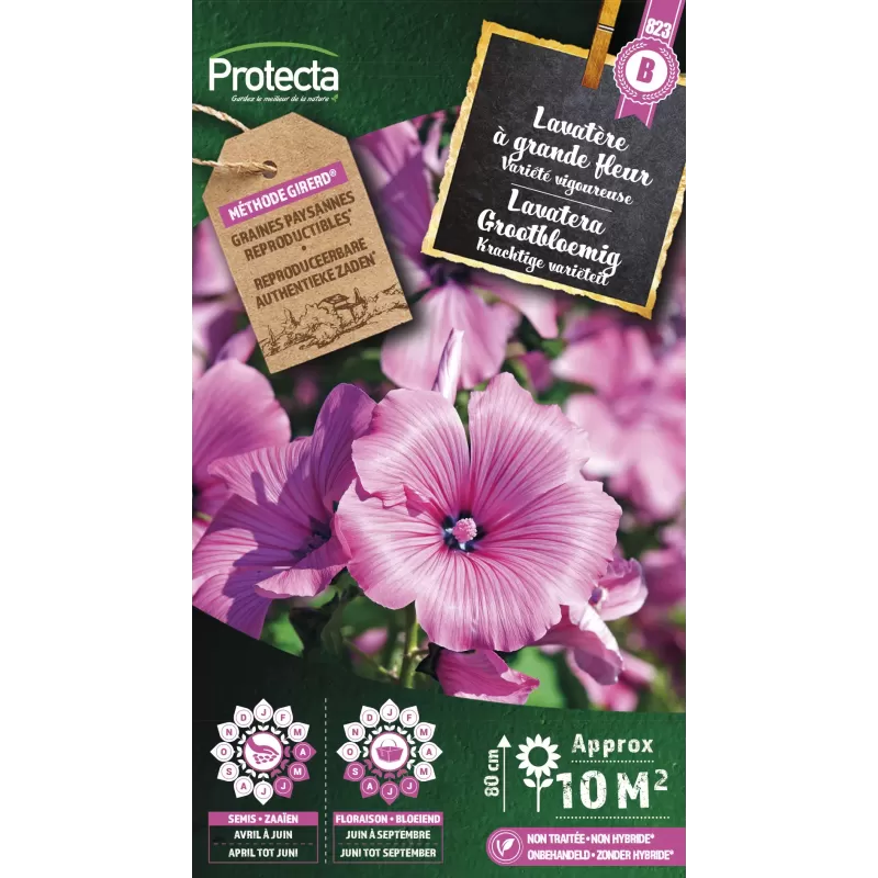 Lavatère à grande fleur - Cat. B - Protecta