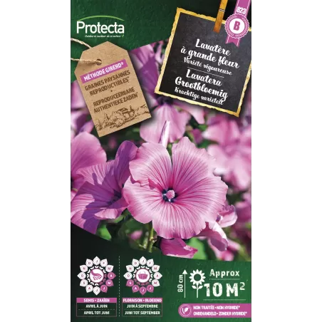 Lavatère à grande fleur - Cat. B - Protecta à 3,65 € - Protecta - SE-CON-00076 - Plantes, Buis & Légumes