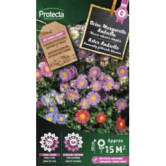 Reine marguerite simple Andrella  - Cat. C - Protecta - 4,80 € -  - 5410560006087 - Ornibird SRL