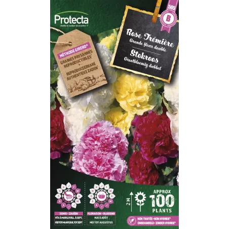Rose Tremière double grande variée - Cat. B - Protecta à 3,65 € - Protecta - SE-CON-00034 - Plantes, Buis & Légumes