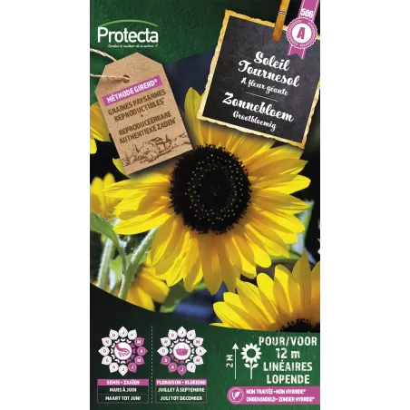 Soleil Géant simple jaune - Cat. A - Protecta à 2,40 € - Protecta - SE-CON-00035 - Plantes, Buis & Légumes
