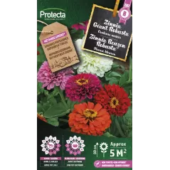 Zinnia Géant Robusta en mélange - Cat. B - Protecta à 3,65 € -  - SE-CON-00036 - Plantes, Buis & Légumes