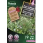 Fleurs en Mélange Abeilles et Papillons 4m² - Cat. D - Protecta Fleurs en Mélange Abeilles et Papillons 4m² - Cat. D - Protecta