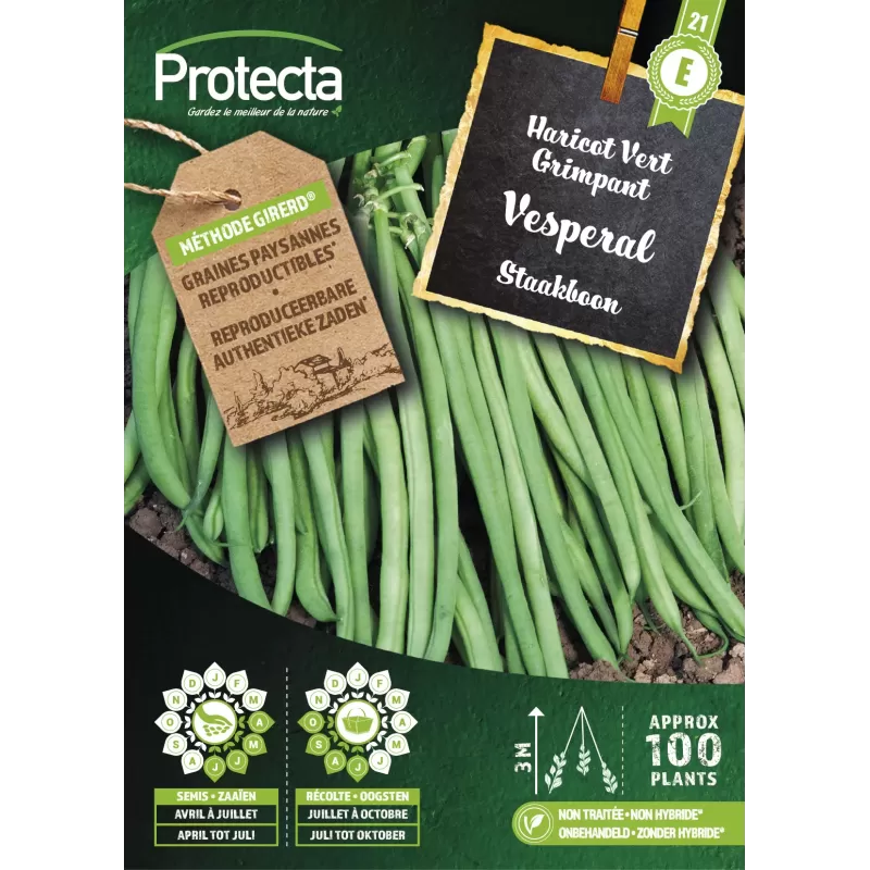 Haricot Vert Grimpant VESPERAL - Cat. E - Protecta Haricot Vert Grimpant VESPERAL - Cat. E - Protecta