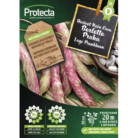 Haricot Nain Coco BORLOTTO PRAHA - Cat. D - Protecta à 5,90 € -  - SE-SEC-00014 - Plantes, Buis & Légumes