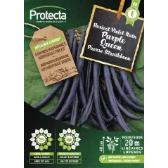 Haricot Violet Nain PURPLE QUEEN - Cat. E -Protecta - 7,20 € -  - 5425005399693 - Ornibird SRL