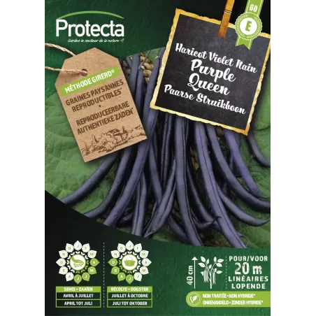 Haricot Violet Nain PURPLE QUEEN - Cat. E -Protecta à 7,20 € -  - SE-SEC-00015 - Plantes, Buis & Légumes