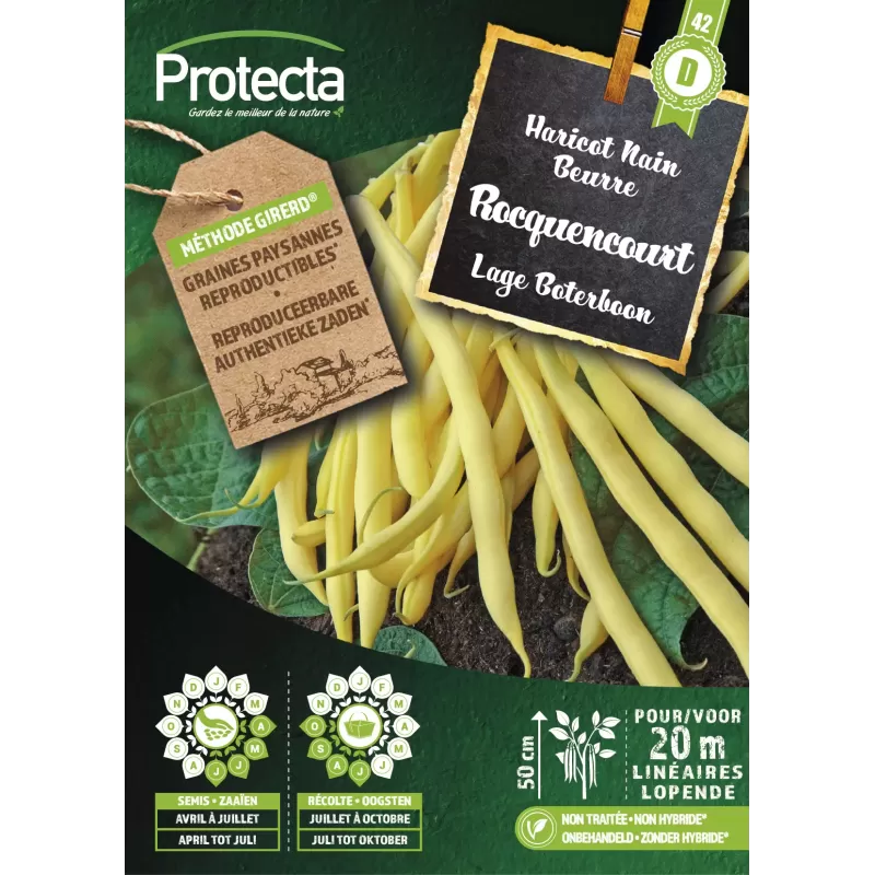 Haricot Nain Beurre ROCQUENCOURT - Cat. D - Protecta Haricot Nain Beurre ROCQUENCOURT - Cat. D - Protecta