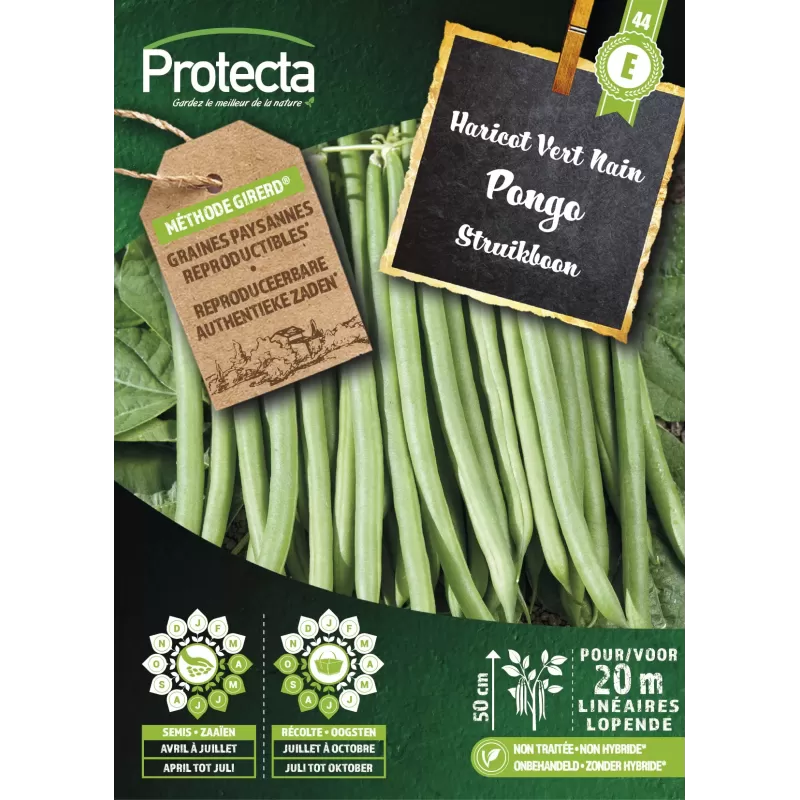Haricot Vert Nain PONGO - Cat. E - Protecta Haricot Vert Nain PONGO - Cat. E - Protecta