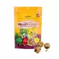 Pellet-Berries Sunny Orchard - Cockatiel 284gr - Lafeber's Pellet-Berries Sunny Orchard - Cockatiel 284gr - Lafeber's