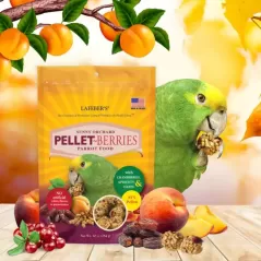 Pellet-Berries Sunny Orchard - Perroquet 1,26kg - Lafeber's - 49,95 € - Lafeber's - 041054317522 - Ornibird SRL