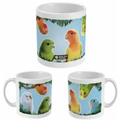 Balayette coco avec dos et poignée en bois - 4,95 € - Göbel Belgium - 4018653294796 - Ornibird SRL
