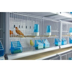 Batterie de 12 cages 64x30x34 Modèle Champion- New Canariz - 1 260,00 € - New Canariz - 1516739131636 - Ornibird SRL