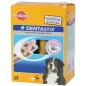 Dentastix Quotidien Maxi 28 pièces - Pedigree
