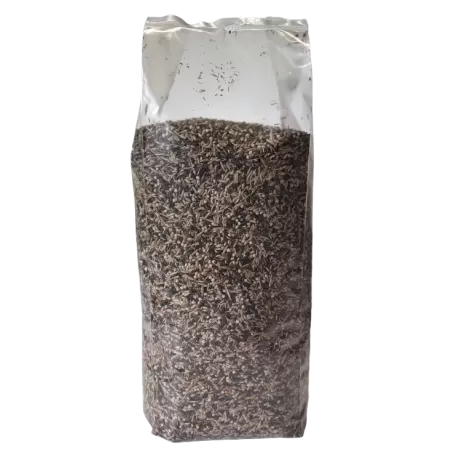 Mélange Tarins de Magellan Luxe 1kg - King à 4,45 € - King - 702340215/kg - Indigènes