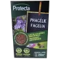 Phacélie 500g 250 m² - Protecta