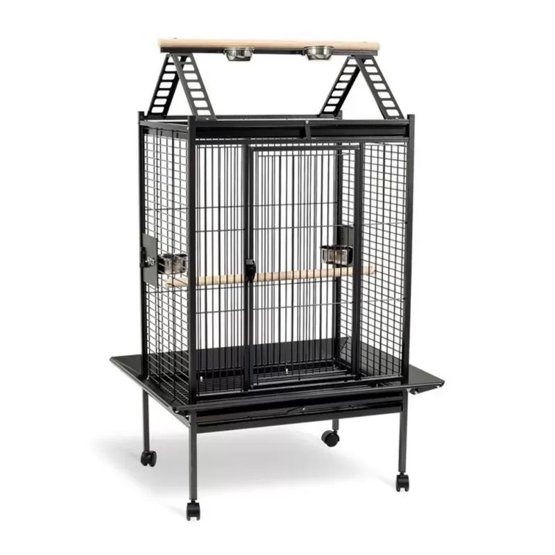 Cage Perroquet Paula 96,5 x 76,5 x 165 H cm