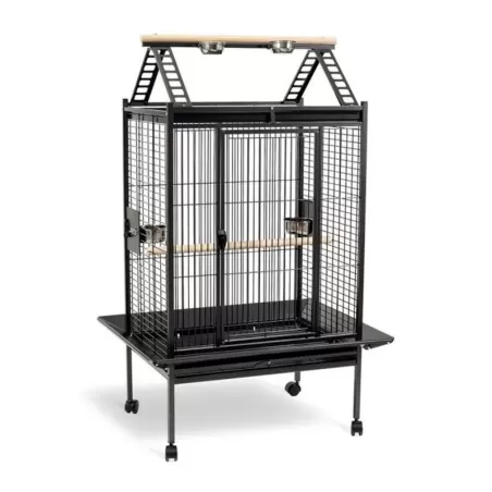 Cage Perroquet Paula 96,5 x 76,5 x 165 H cm à 499,95 € - Benelux - 15607 - Cages