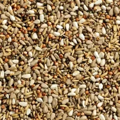 Mélange Finesse Super Energy 20kg - Natural - 25,30 € - Natural - 5413500001227 - Ornibird SRL