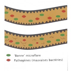 Flora+ 250gr - Deli Nature - 18,95 € - Deli Nature - 5411860805028 - Ornibird SRL