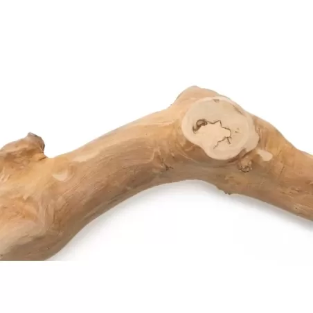 Perch Java Wood Simples 30 cm - Giga Bird