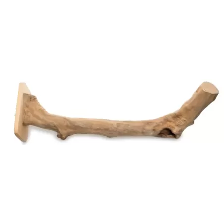 Perchoir Java Wood Simple 50 cm - Giga Bird à 23,50 € - Giga Bird - G02-01076 - Perchoirs