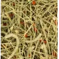 Foin Timothy - Carotte & Panais Rodelicious 600gr - Deli Nature Foin Timothy - Carotte & Panais Rodelicious 600gr - Deli Nature